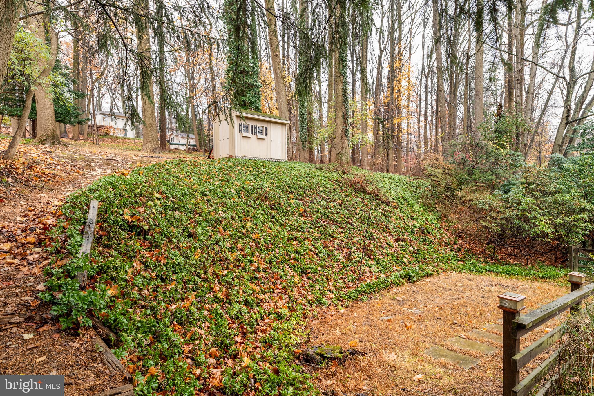 476 Upper Weadley Road Wayne, PA 19087 - Photo 43 of 45 a view of a yard with plants and trees
