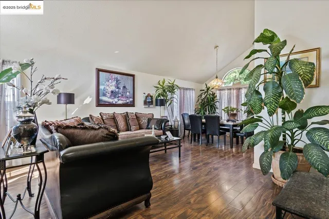 a living room with furniture a potted plant and open to kitchen view
