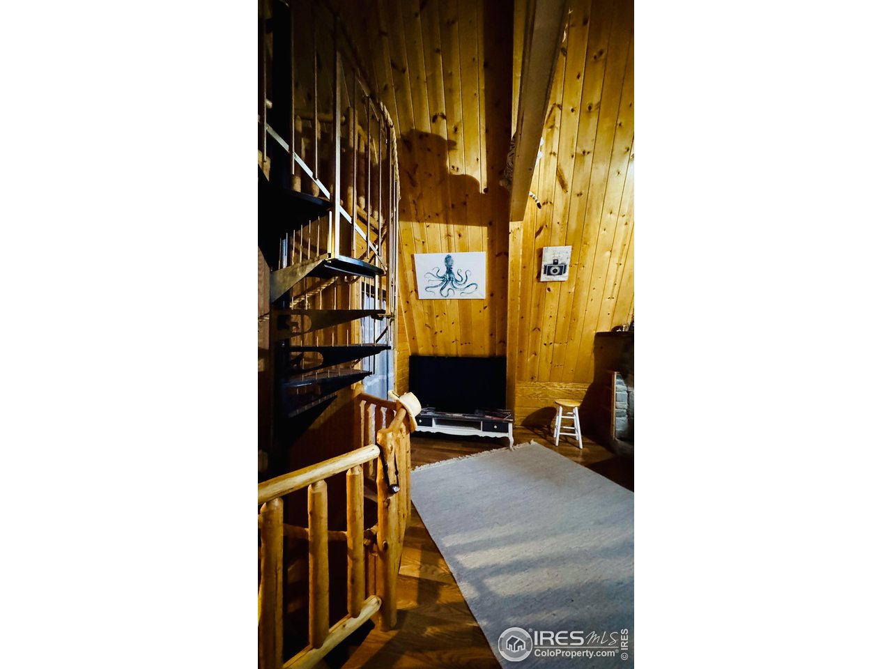 867 Windy Ridge Road Livermore, CO 80536 - Photo 23 of 23 a view of staircase with a rug