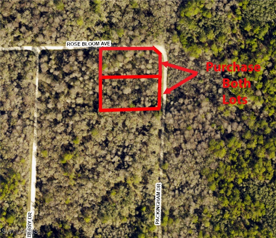 8009 Packingham Drive Webster, FL 33597 - Photo 2 of 5