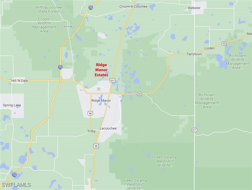 8009 Packingham Drive Webster, FL 33597 - Photo 4 of 5