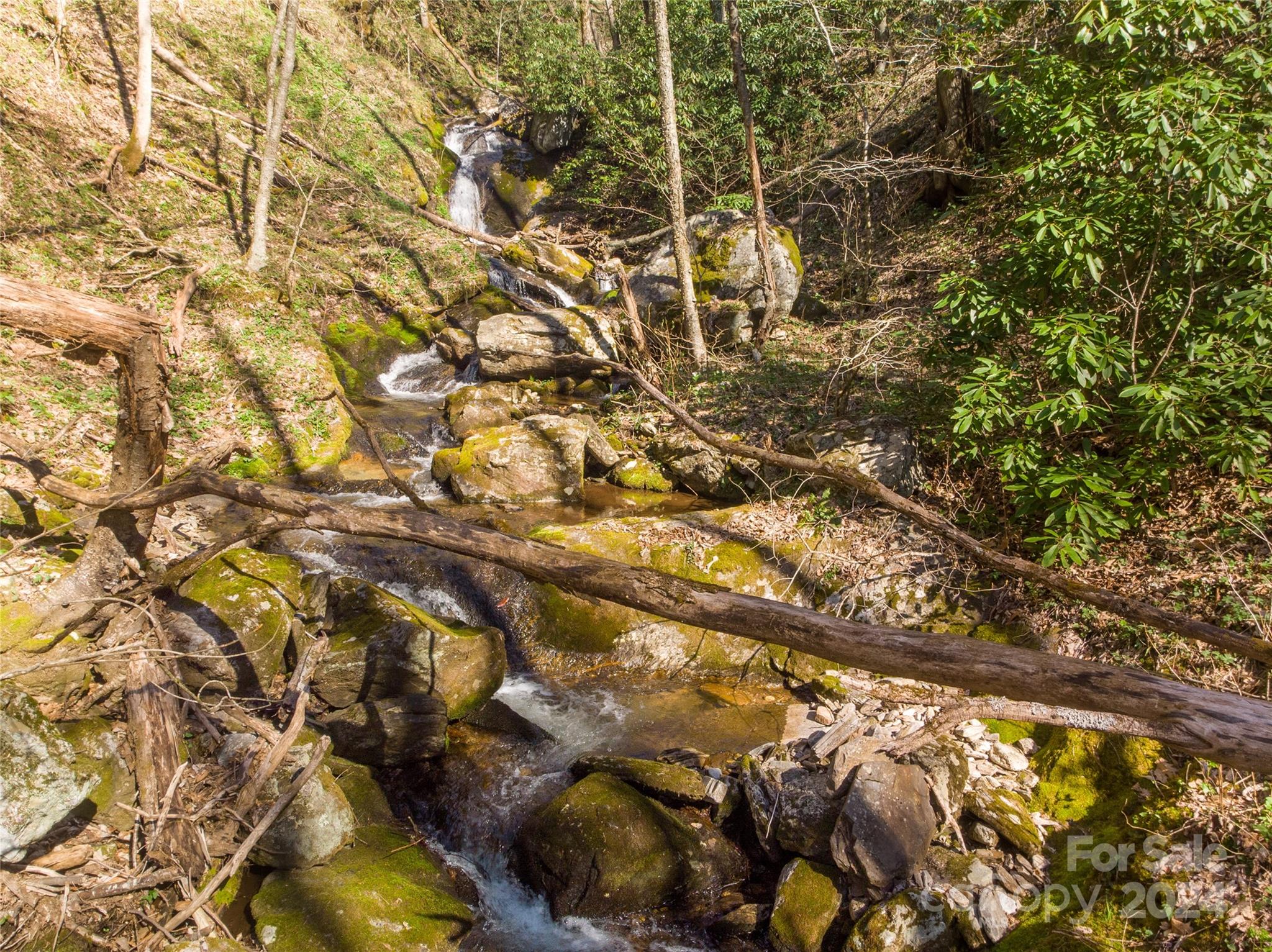 0 Buff Creek Road Sylva, NC 28779 - Photo 11 of 21 a view of a tree