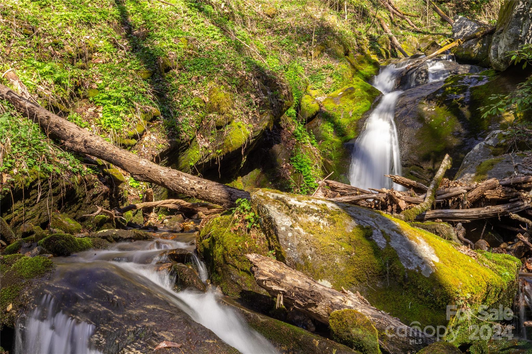 0 Buff Creek Road Sylva, NC 28779 - Photo 14 of 21 a view of an outdoor space