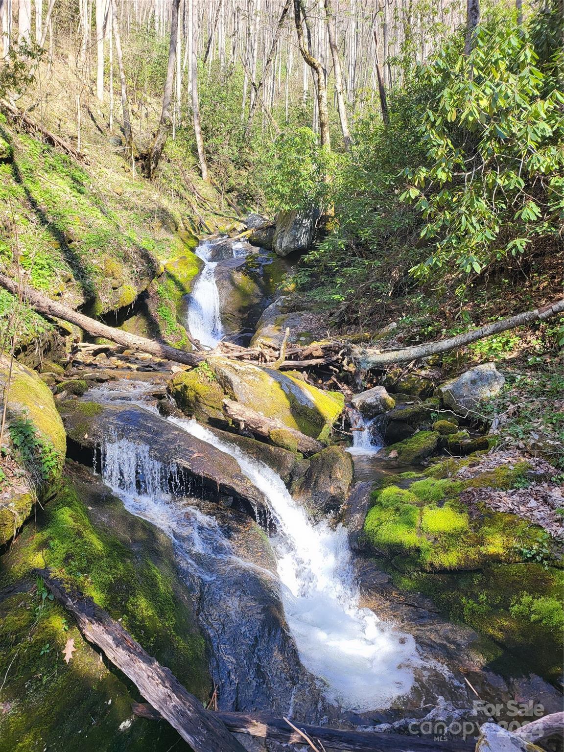 0 Buff Creek Road Sylva, NC 28779 - Photo 16 of 21 a view of an outdoor space