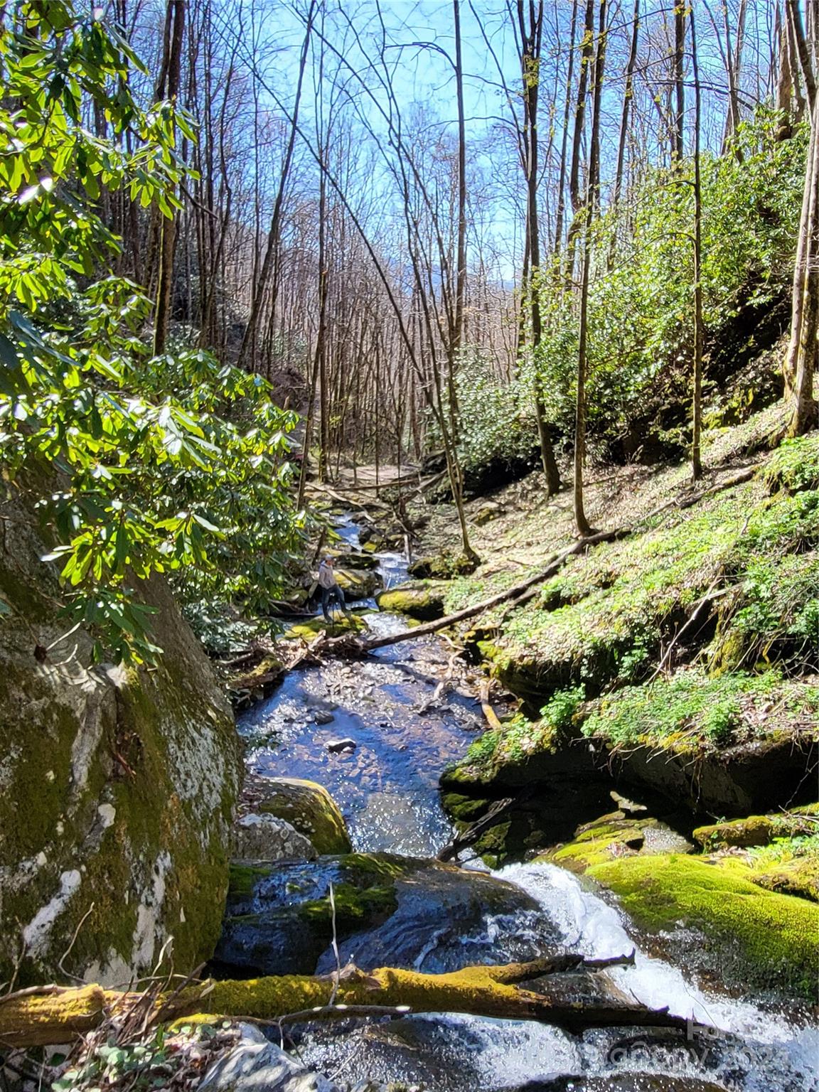0 Buff Creek Road Sylva, NC 28779 - Photo 17 of 21 a view of a lake with lawn chairs under an umbrella