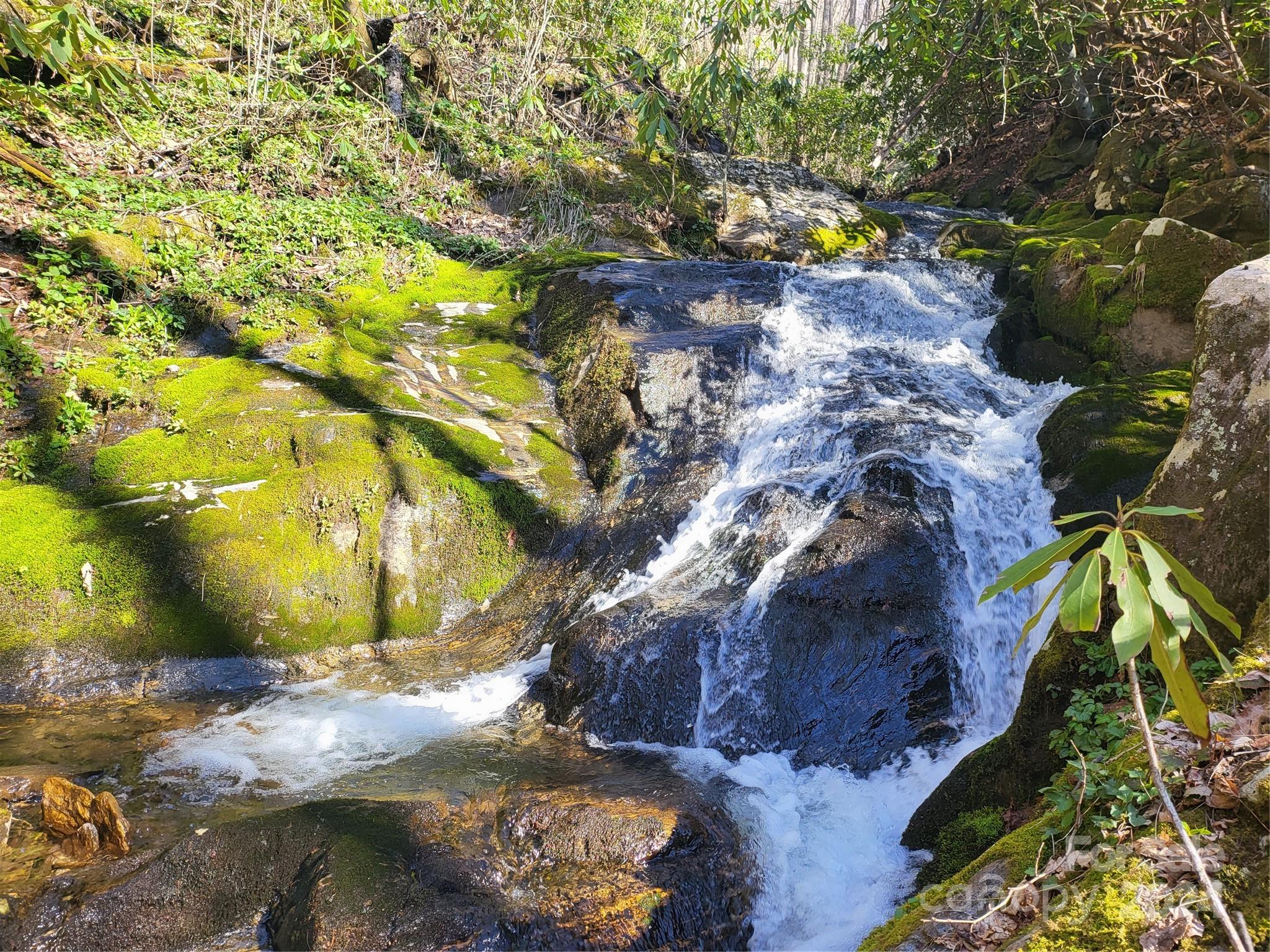 0 Buff Creek Road Sylva, NC 28779 - Photo 18 of 21 a view of a yard
