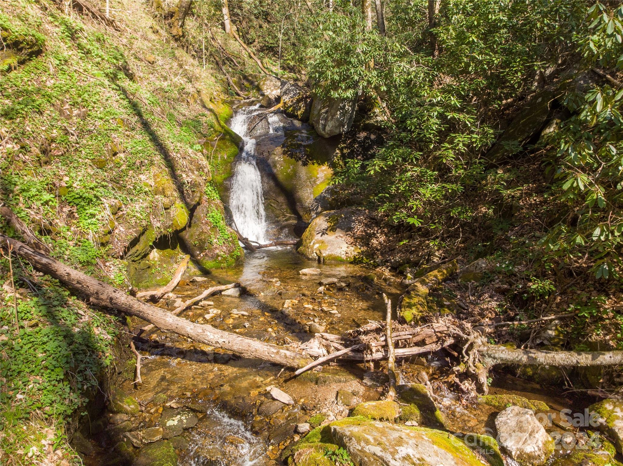 0 Buff Creek Road Sylva, NC 28779 - Photo 4 of 21 a view of tree
