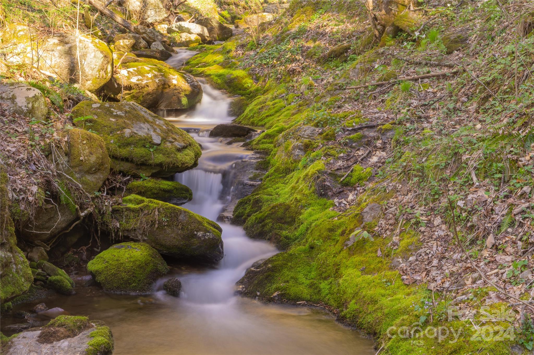 0 Buff Creek Road Sylva, NC 28779 - Photo 6 of 21 a backyard of a house with lots of green space