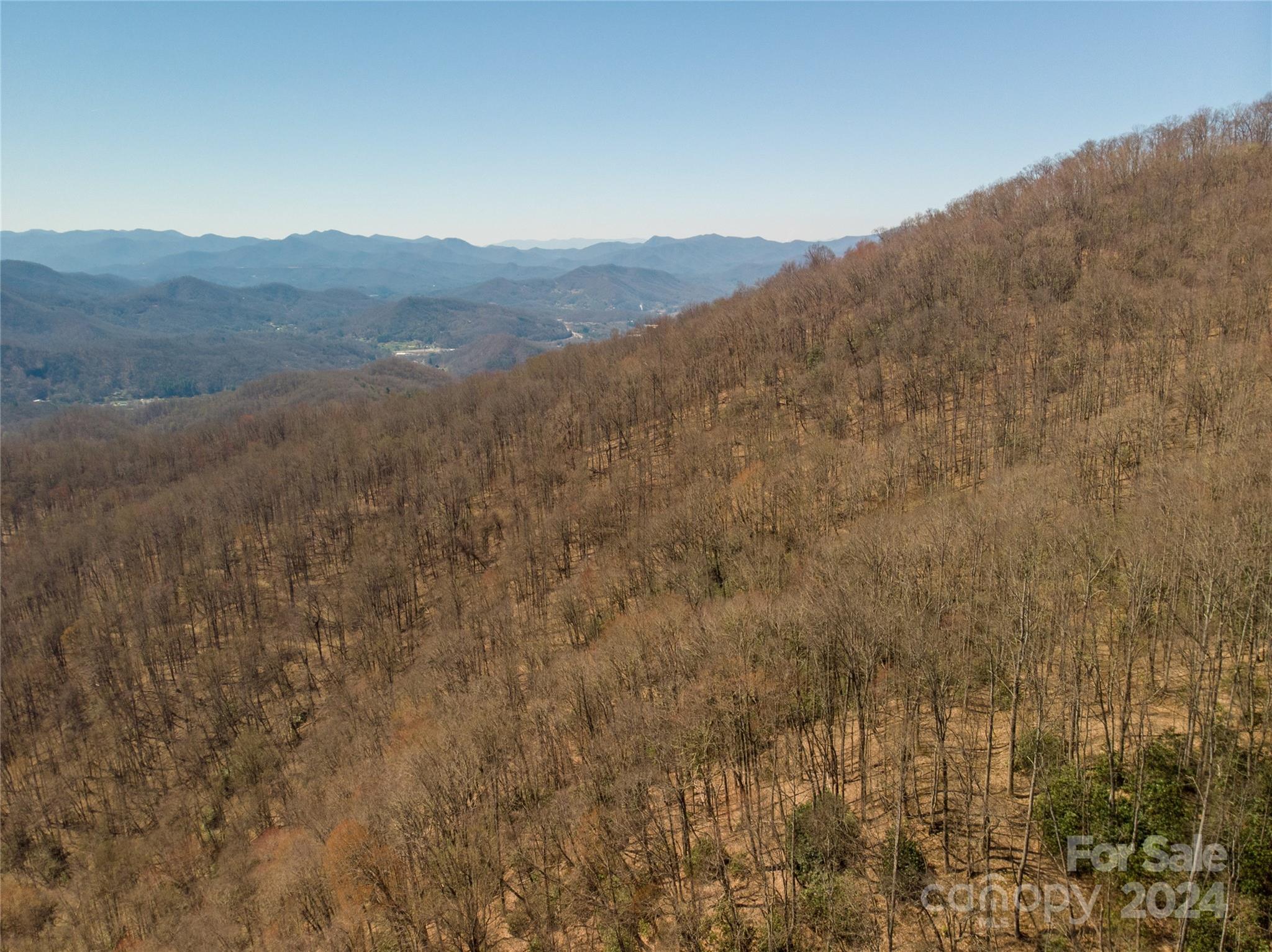 0 Buff Creek Road Sylva, NC 28779 - Photo 7 of 21 a view of a dry yard