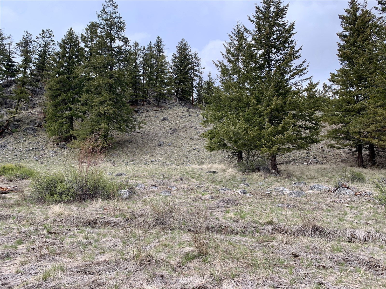 111 Blue Grouse Road Oroville, WA 98844 - Photo 11 of 16 Gallery Image 11