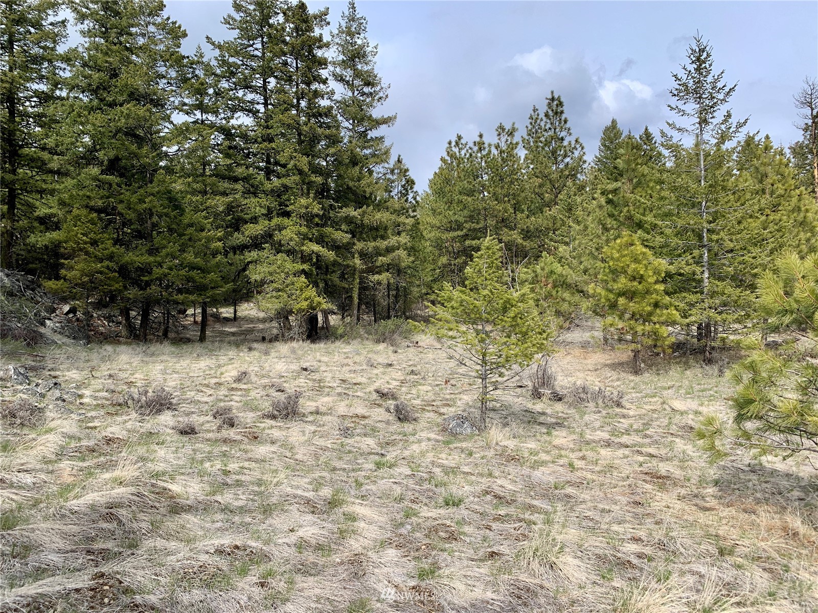 111 Blue Grouse Road Oroville, WA 98844 - Photo 12 of 16 Gallery Image 12