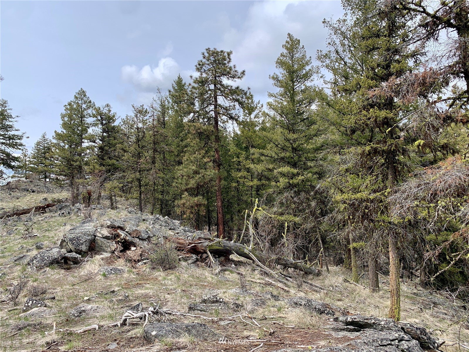 111 Blue Grouse Road Oroville, WA 98844 - Photo 13 of 16 Gallery Image 13