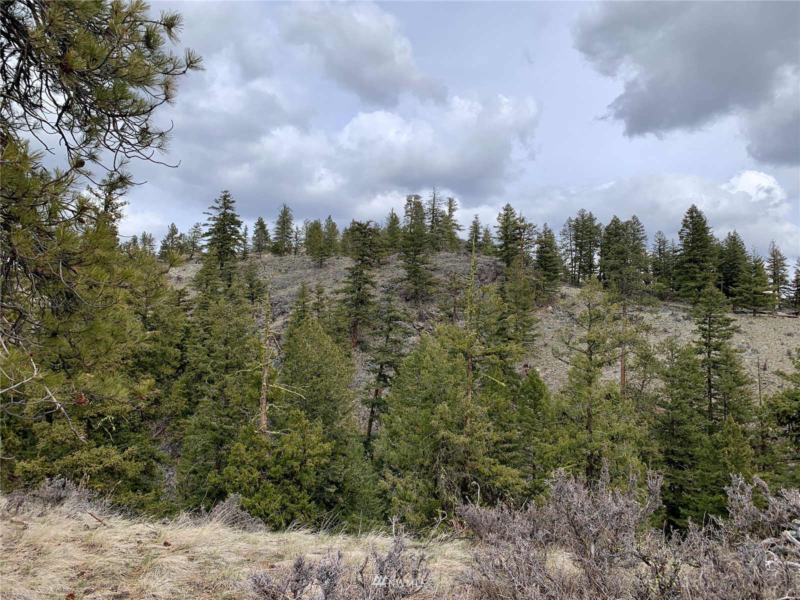 111 Blue Grouse Road Oroville, WA 98844 - Photo 14 of 16 Gallery Image 14