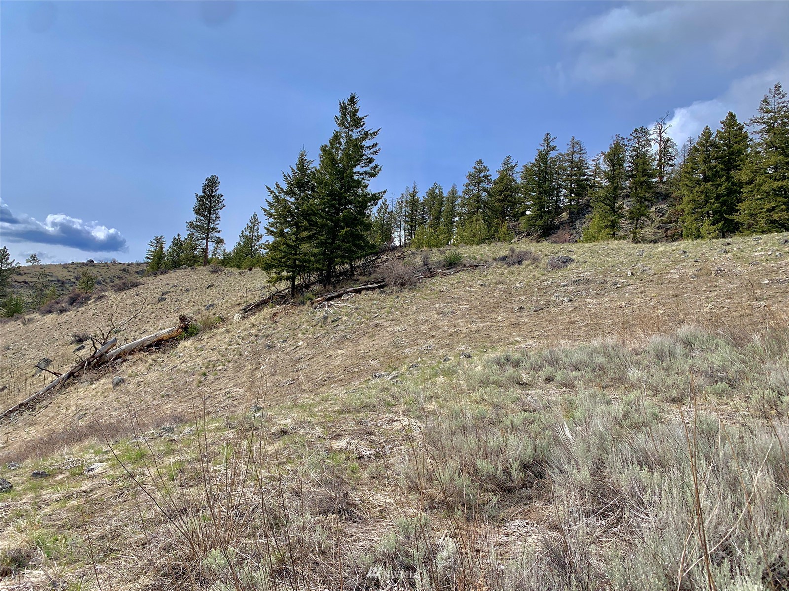 111 Blue Grouse Road Oroville, WA 98844 - Photo 16 of 16 Gallery Image 16