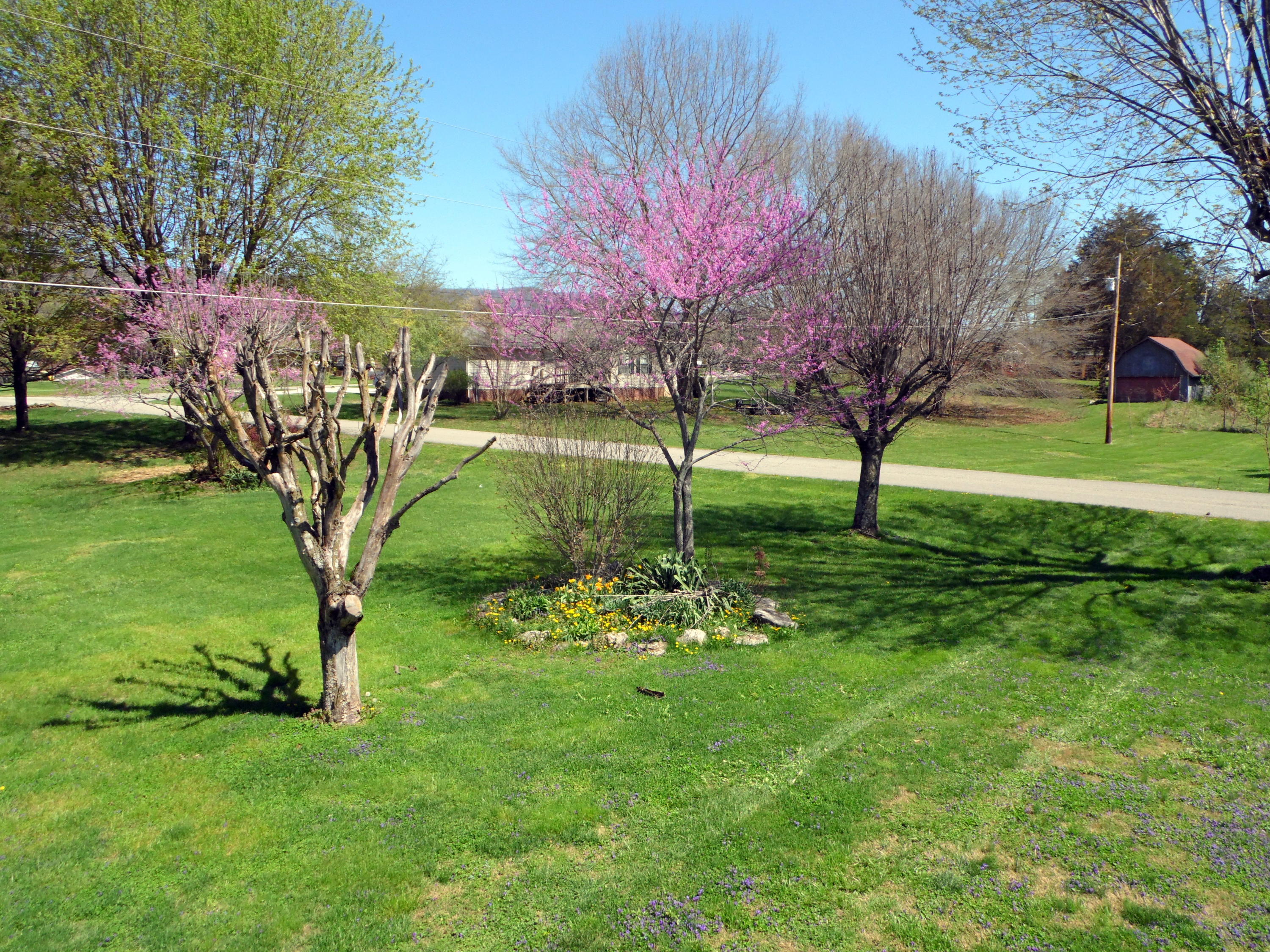 206 Brown Crest Road La Follette, TN 37766 - Photo 28 of 35 SAM_3532