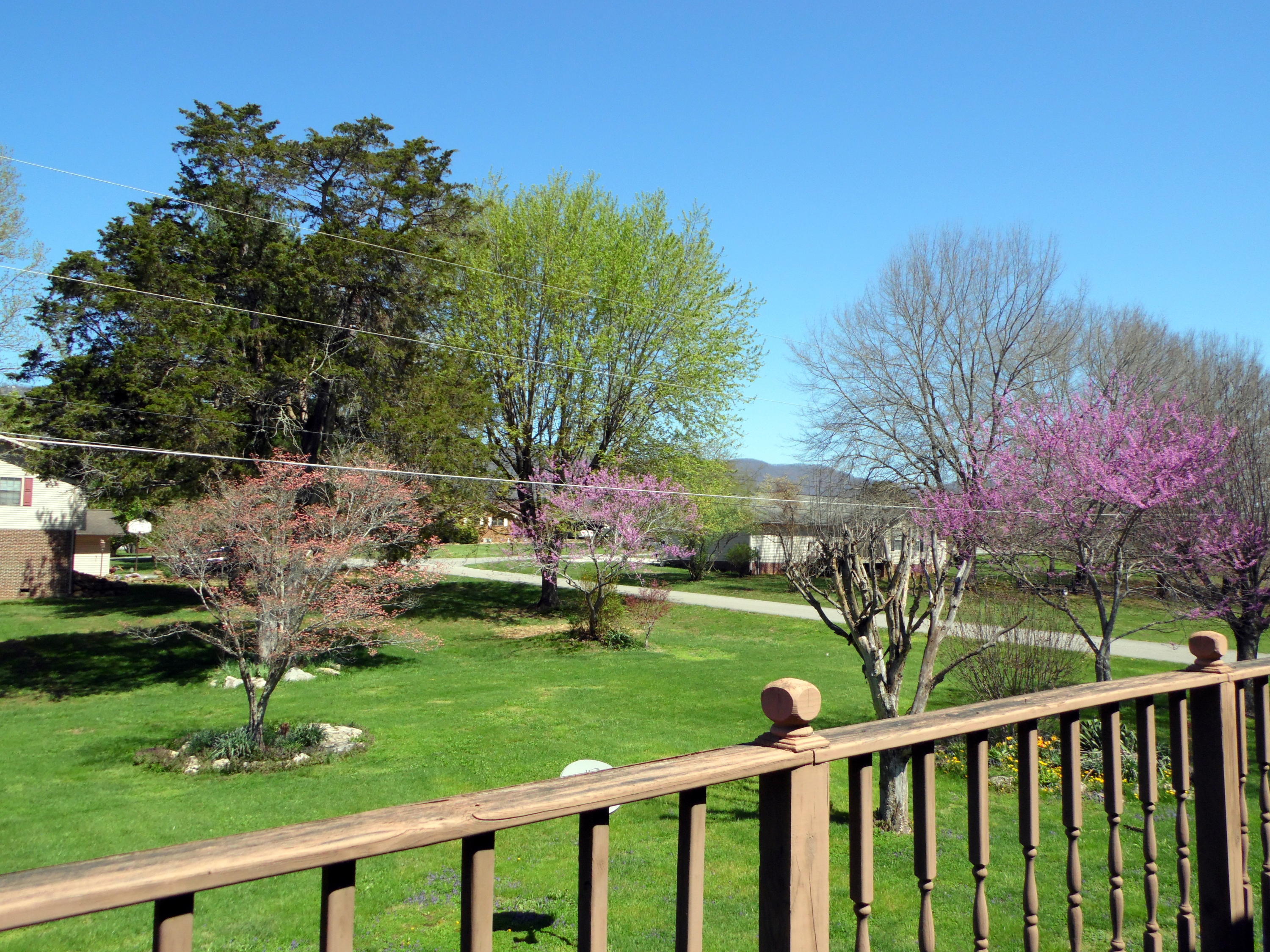 206 Brown Crest Road La Follette, TN 37766 - Photo 32 of 35 SAM_3535