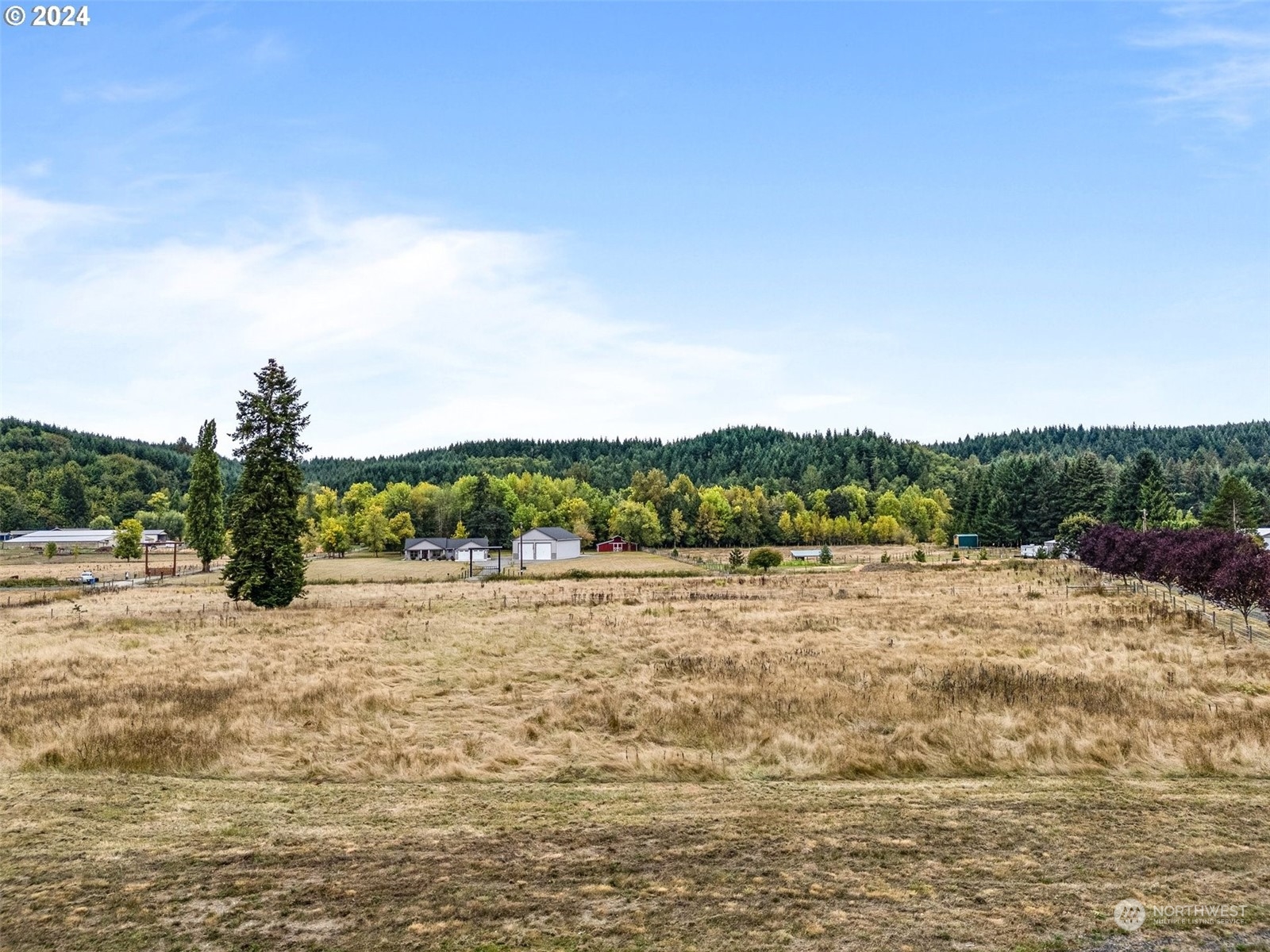 143 Smokey Valley Road Toledo, WA 98591 - Photo 25 of 40 Gallery Image 25