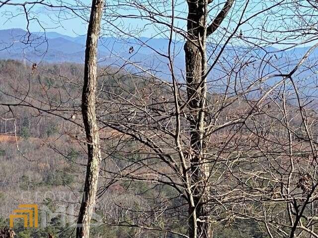 4 Sunrock Mountain Trace Blue Ridge, GA 30513 - Photo 7 of 10 a view of a yard with a tree