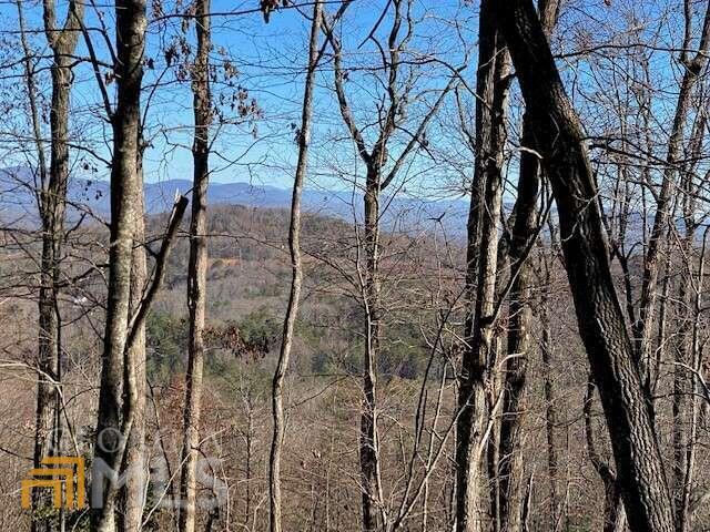 4 Sunrock Mountain Trace Blue Ridge, GA 30513 - Photo 9 of 10 a view of a forest