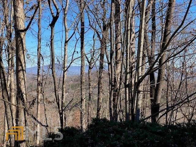 4 Sunrock Mountain Trace Blue Ridge, GA 30513 - Photo 10 of 10 not sure