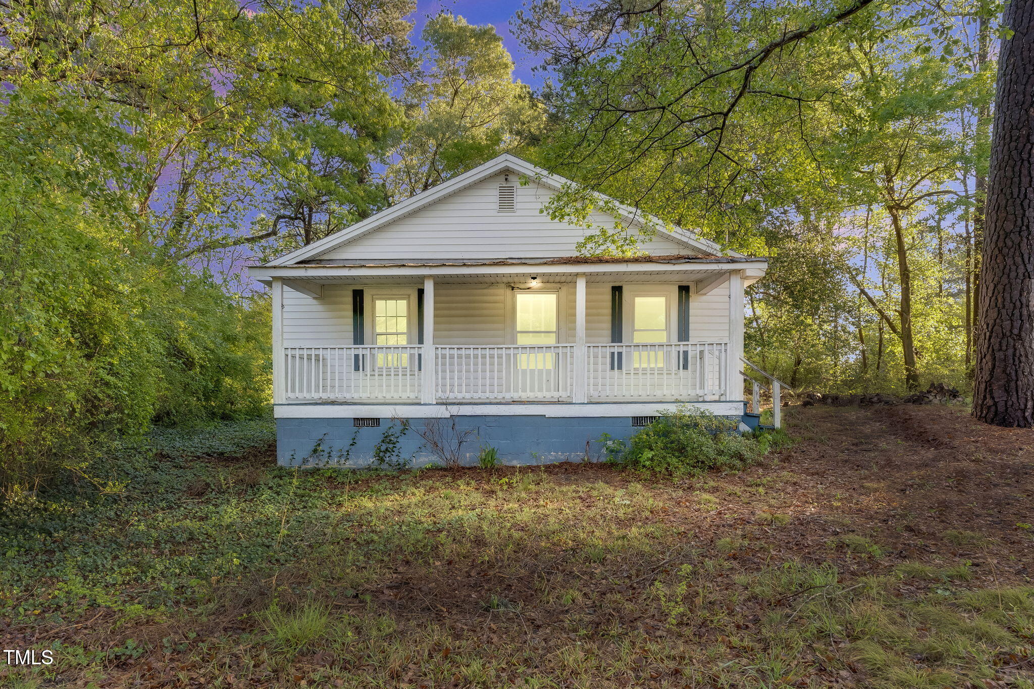 8175 Highway 27 Coats, NC 27521 - Photo 5 of 24 1-web-or-mls-_DSC2433