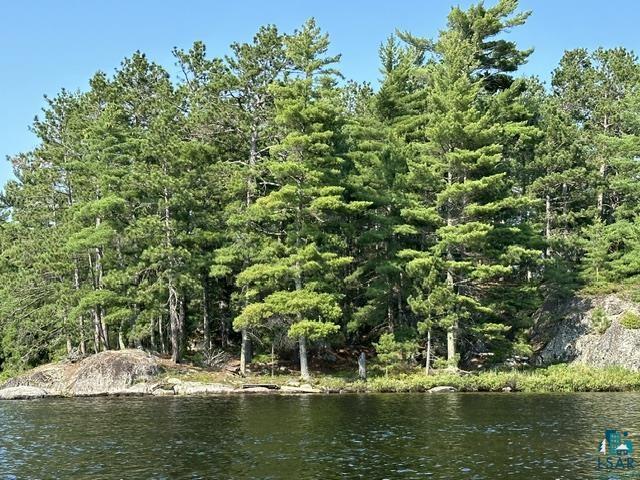 2763 Van Vac Road Ely, MN 55731 - Photo 25 of 37 Wooded shoreline featuring mature evergreen trees and natural rock formations