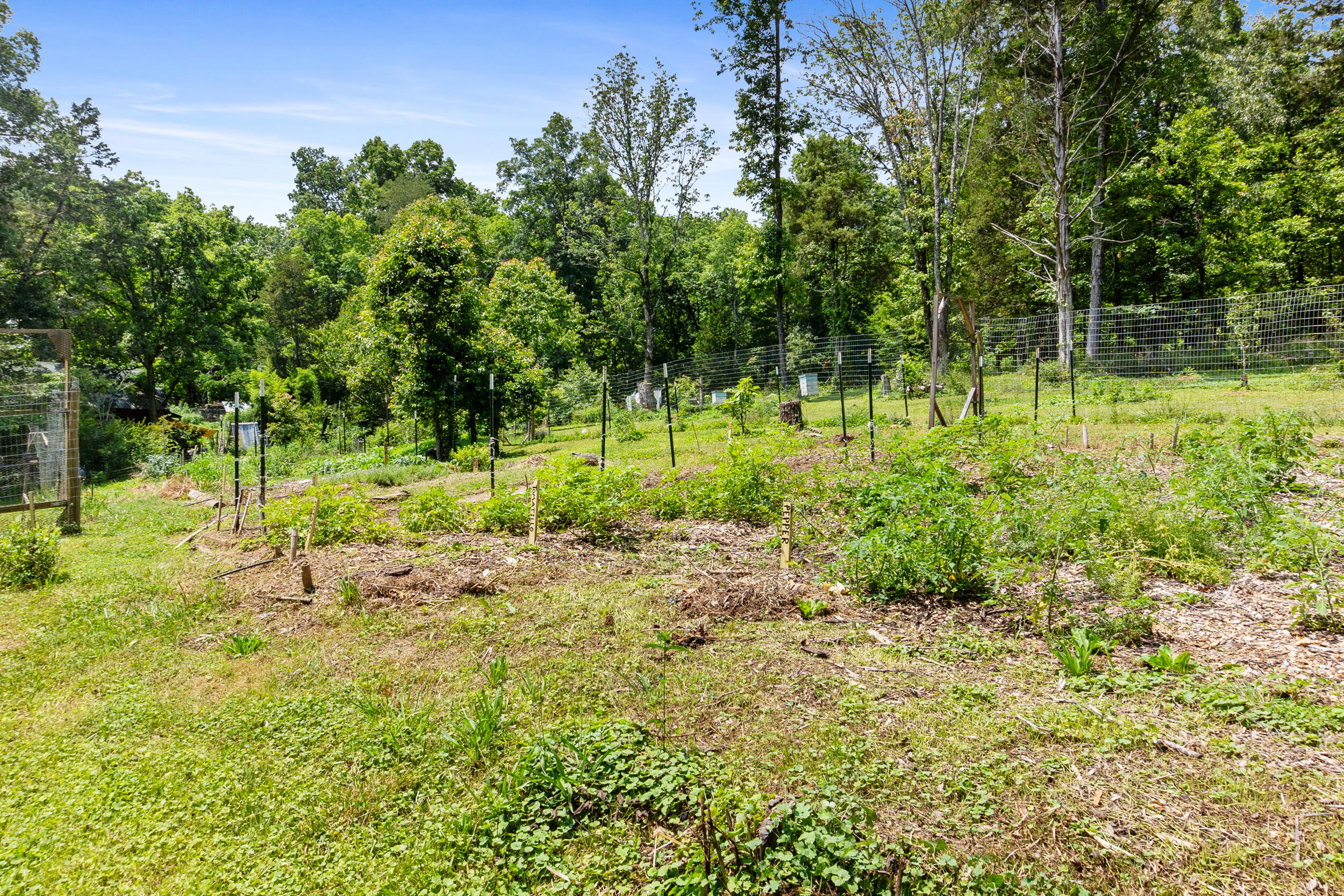 4311 Kellys Ferry Road Chattanooga, TN 37419 - Photo 27 of 33 _dsc9570