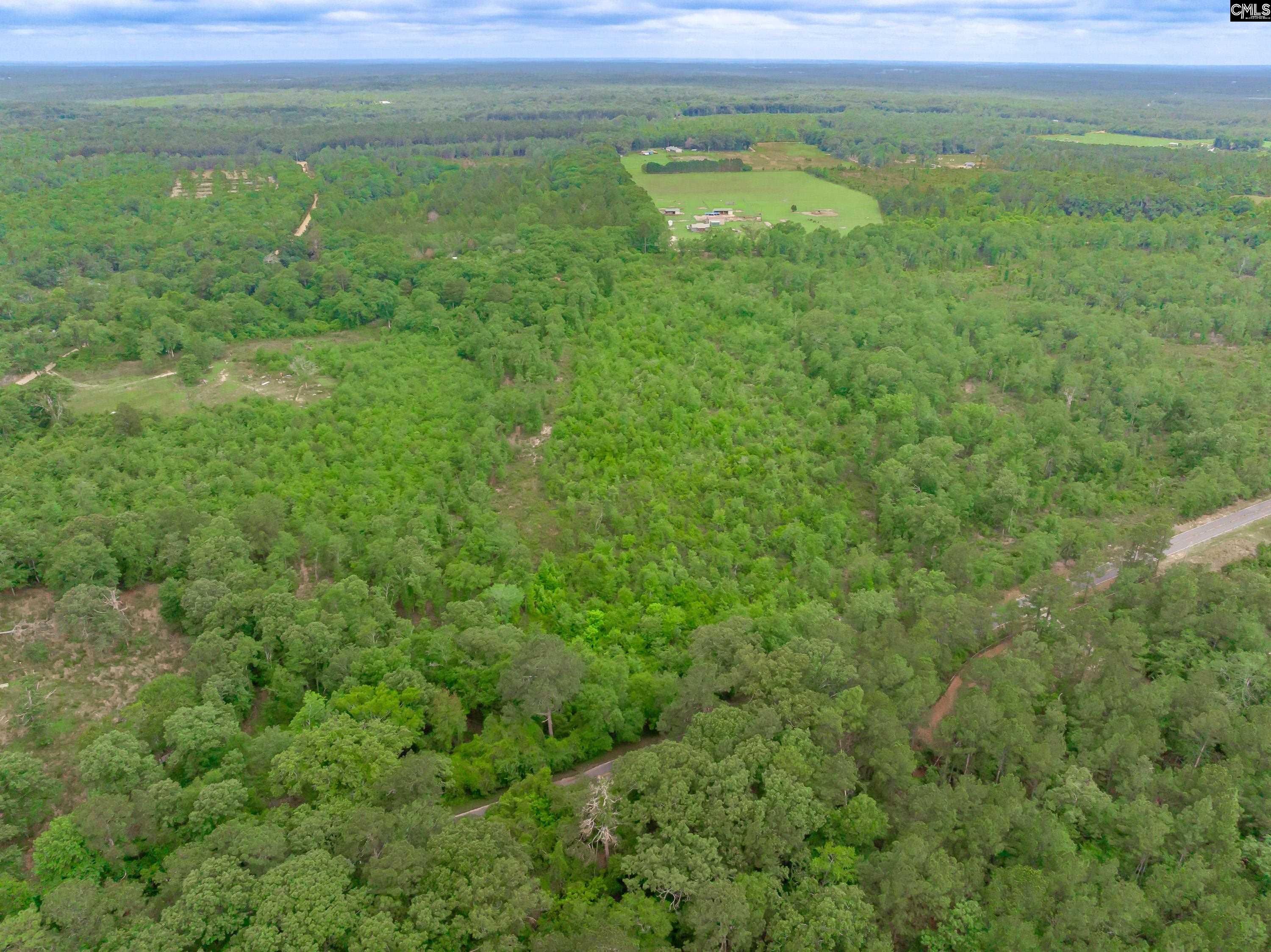 0 Seivern Road Wagener, SC 29164 - Photo 19 of 23