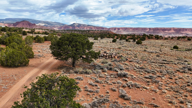 358 South Sky Drive Torrey, UT 84775 - Photo 52 of 82 Expansive desert landscape featuring a dirt path, scattered evergreen trees, and distant red rock formations under a partly cloudy sky
