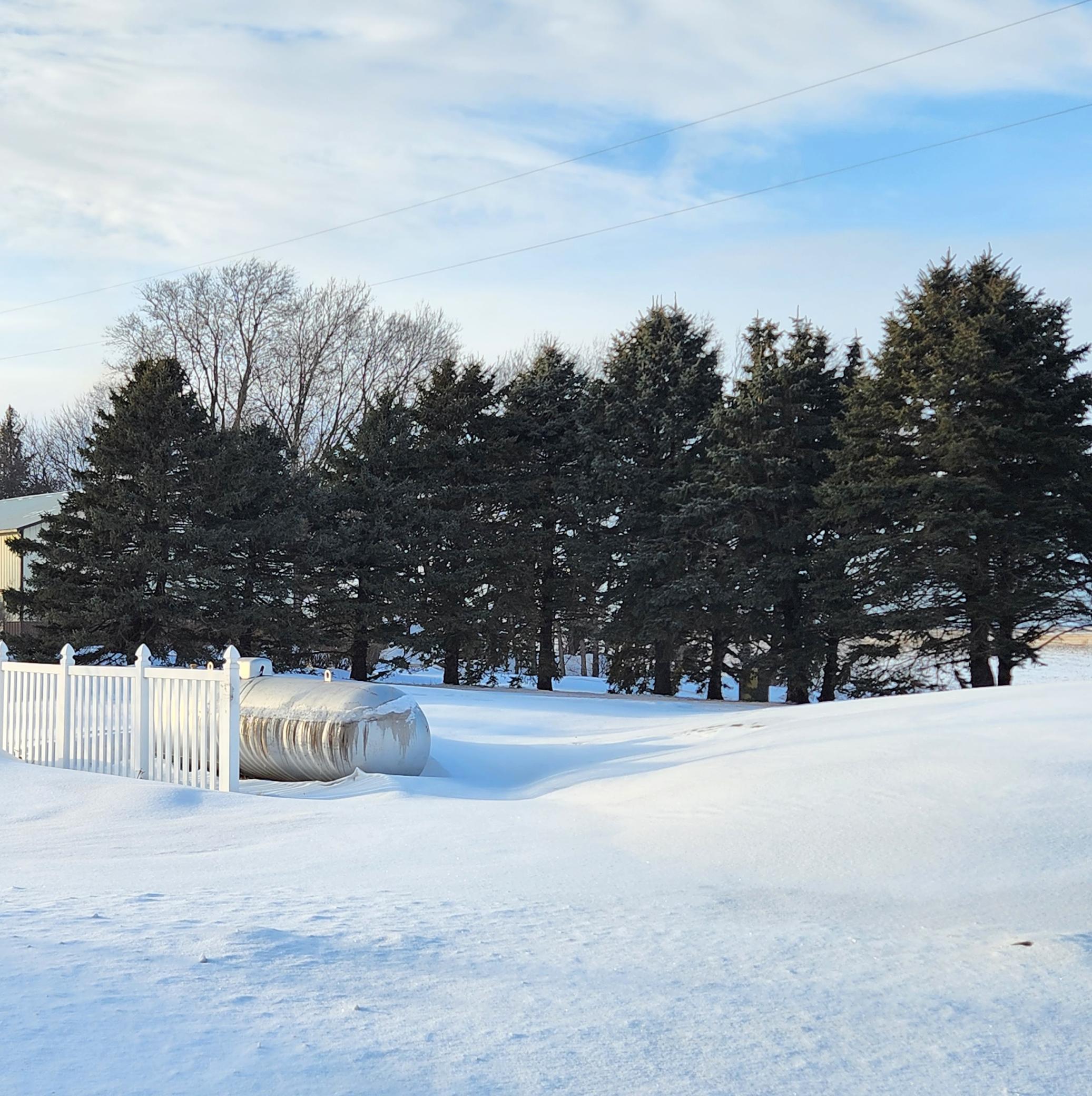 40494 Highway 14 Springfield, MN 56087 - Photo 6 of 41