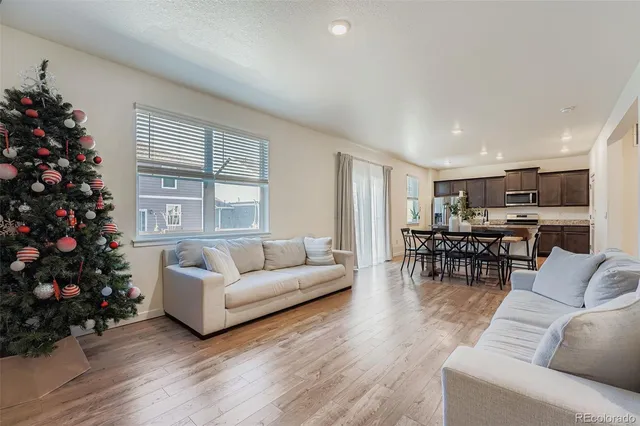 a living room with furniture window and potted plant