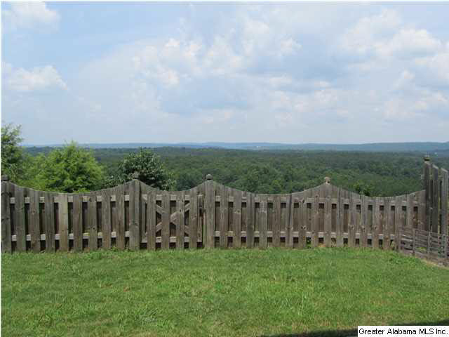 3135 Chelsea Park Ridge Chelsea, AL 35043 - Photo 2 of 23
