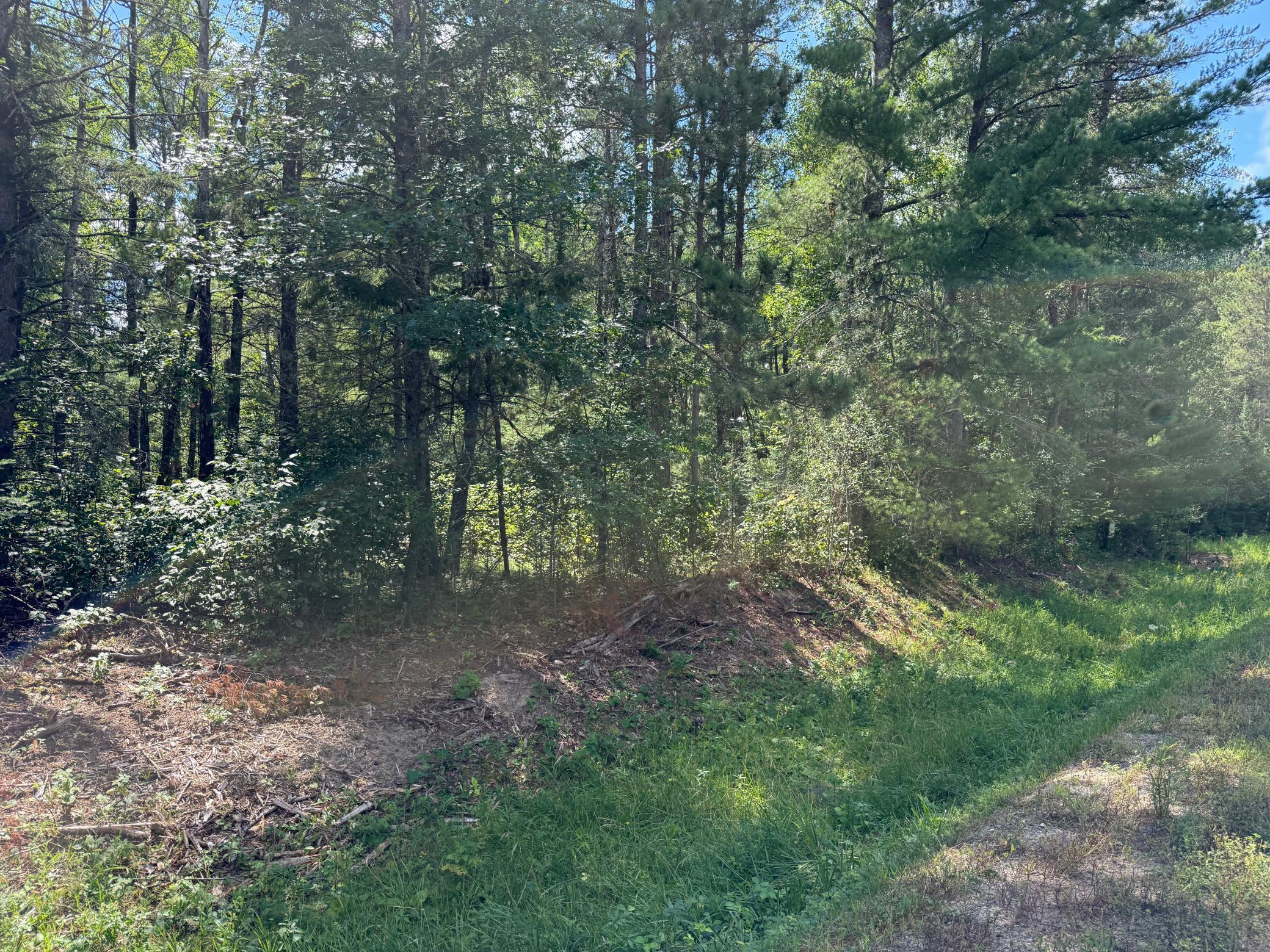 28393 County 93 Laporte, MN 56461 - Photo 3 of 11