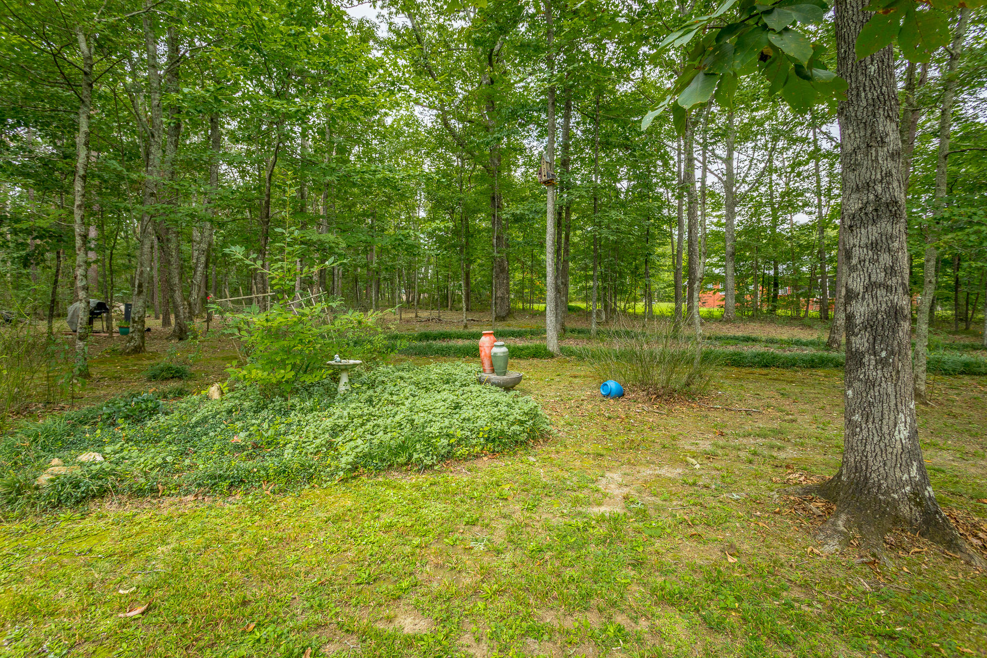 372 Hargis Road Signal Mountain, TN 37377 - Photo 65 of 134 372 Hargiss Rd. HD-64