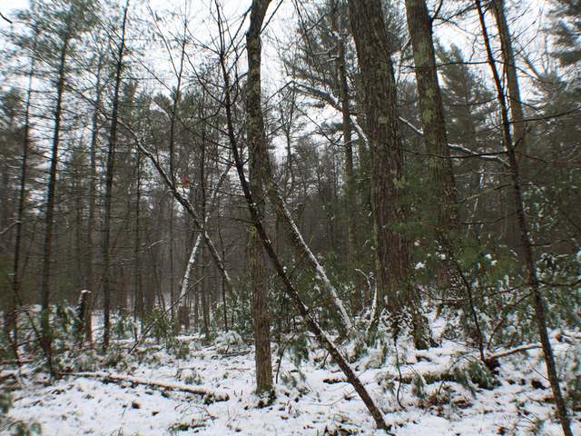 Lot On Birchwood Drive Rhinelander, WI 54501 - Photo 5 of 7 Gallery Image 5