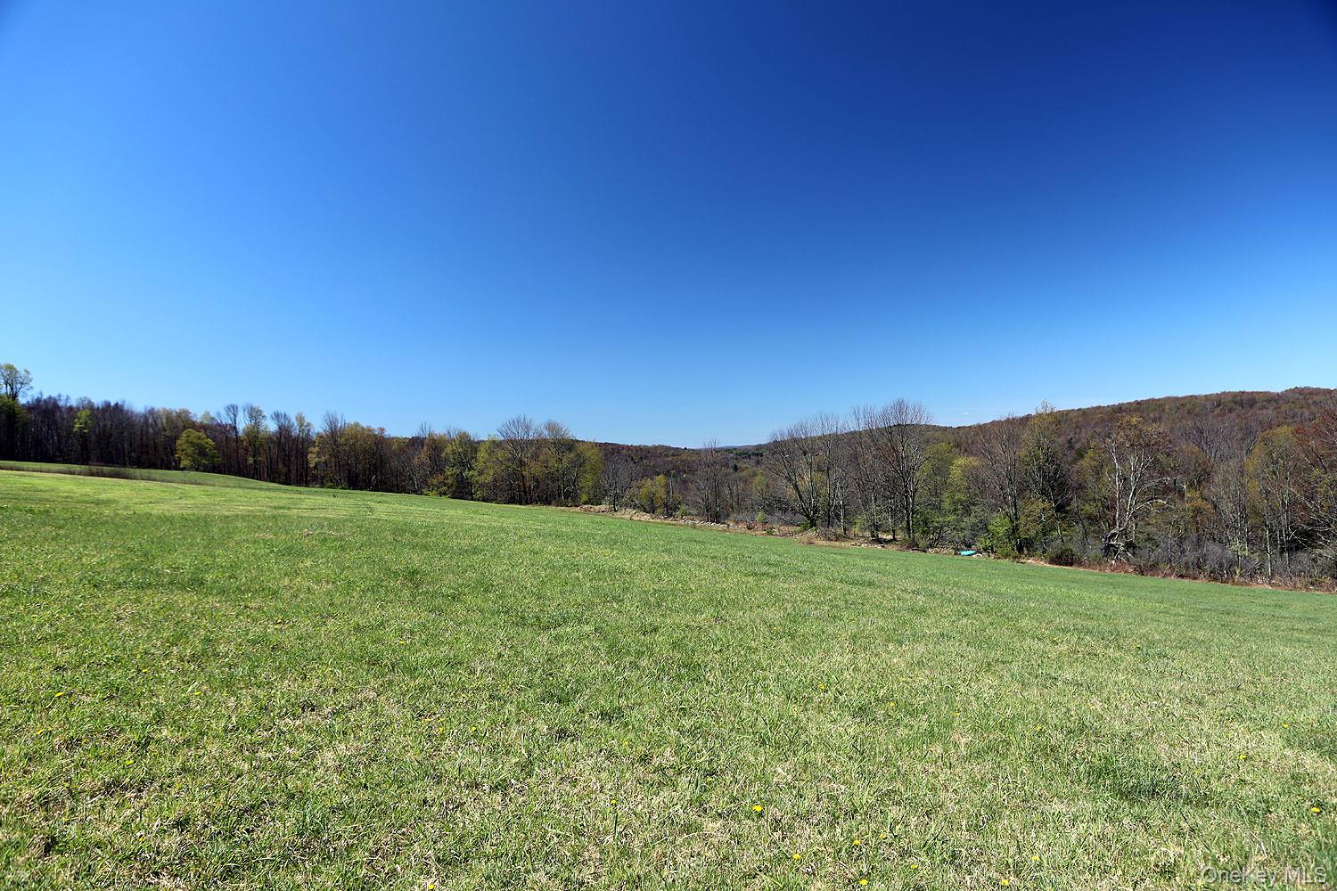 Hubert Road Jeffersonville, NY 12748 - Photo 6 of 19 a view of an mountain and a yard