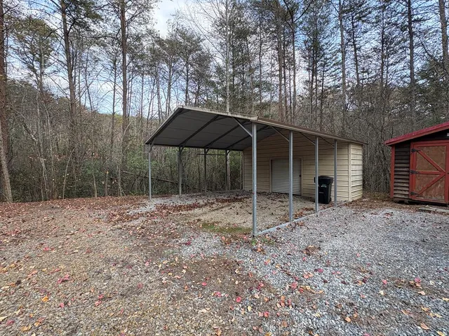 a view of a forest with trees in the background
