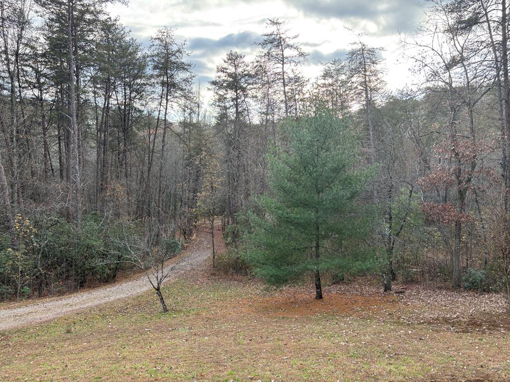 360 Johnson Cove Road Copperhill, TN 37317 - Photo 35 of 56 a view of a forest with trees in the background
