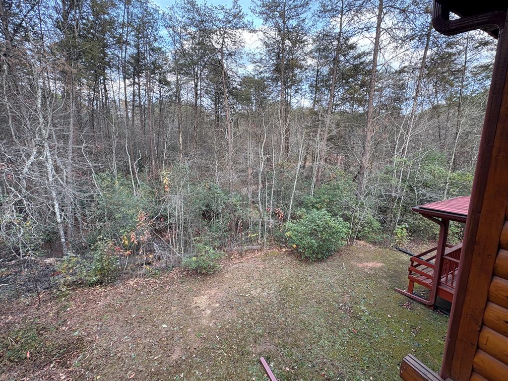 360 Johnson Cove Road Copperhill, TN 37317 - Photo 39 of 56 a view of a forest with large trees