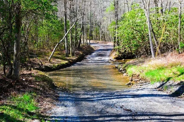 a view of a backyard with swimming pool