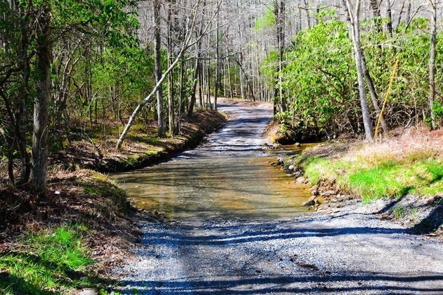 360 Johnson Cove Road Copperhill, TN 37317 - Photo 4 of 56 a view of a backyard with swimming pool