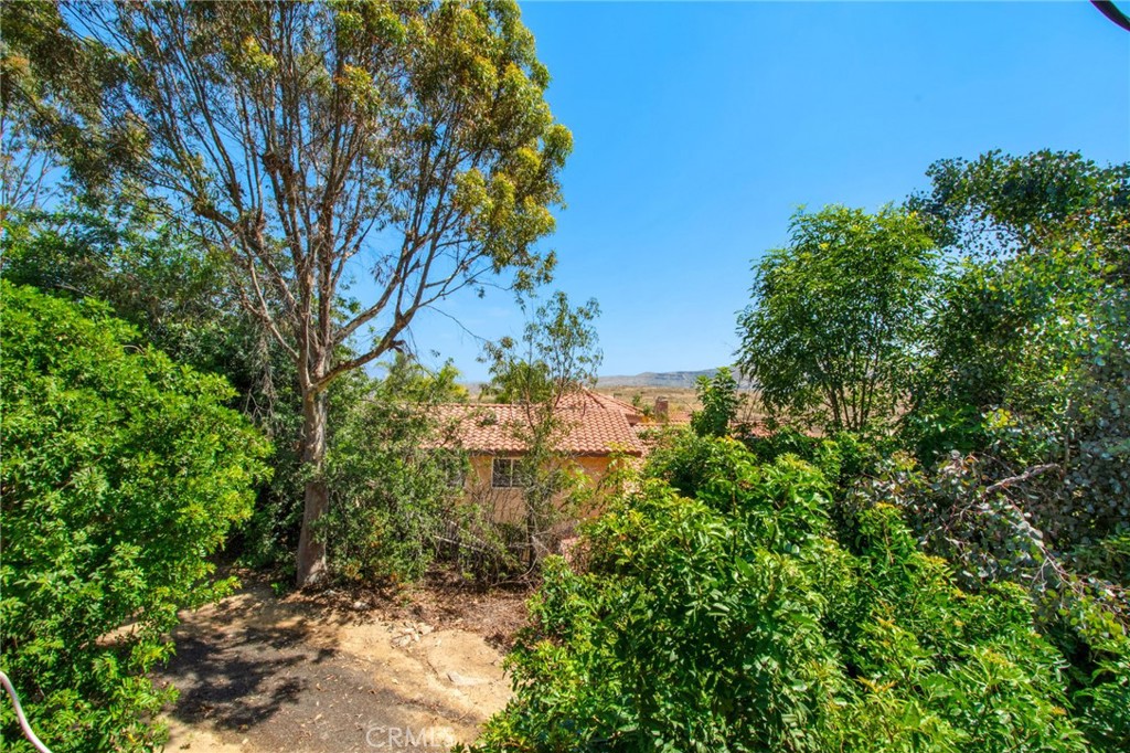 7241 Old Temescal Road Corona, CA 92881 - Photo 19 of 47 a view of a tree in a garden