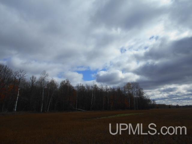 Tbd Dream Lake Road Florence, WI 54121 - Photo 4 of 10
