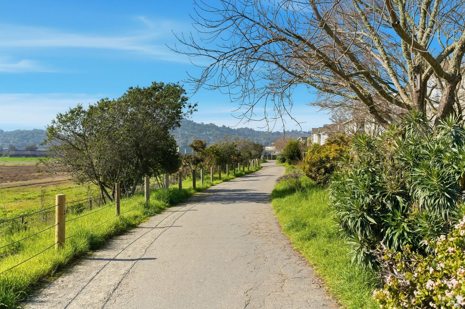 168 Baypoint Drive San Rafael, CA 94901 - Photo 38 of 44