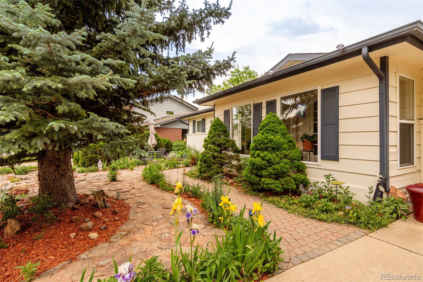 3550 Everett Drive Boulder, CO 80305 - Photo 3 of 31