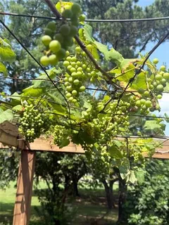 $799,000 | 3728 Lake Michel Court, Gretna, LA 70056