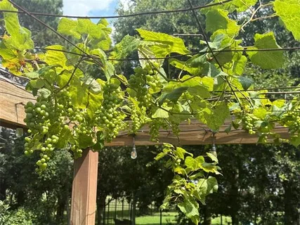 $799,000 | 3728 Lake Michel Court, Gretna, LA 70056