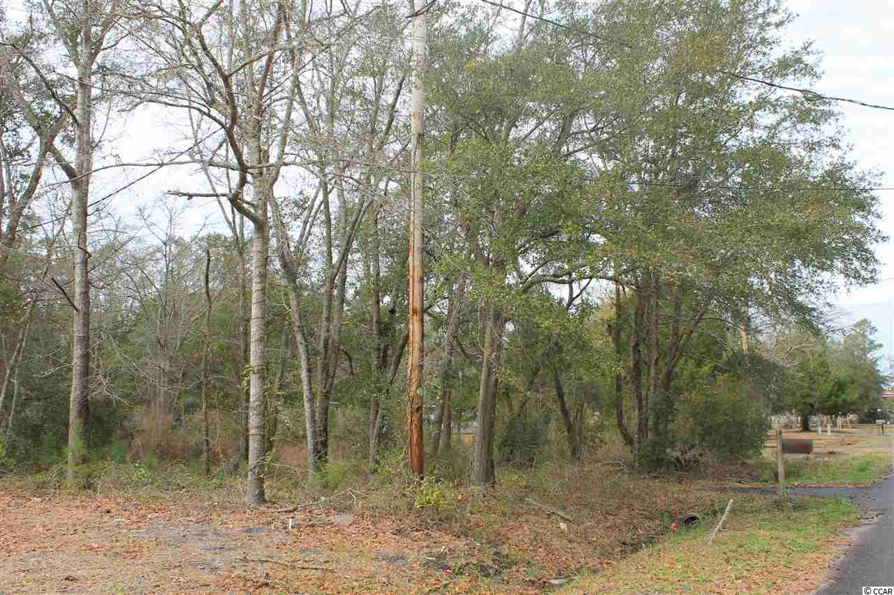 1085 Palmer Place Murrells Inlet, SC 29576 - Photo 3 of 4