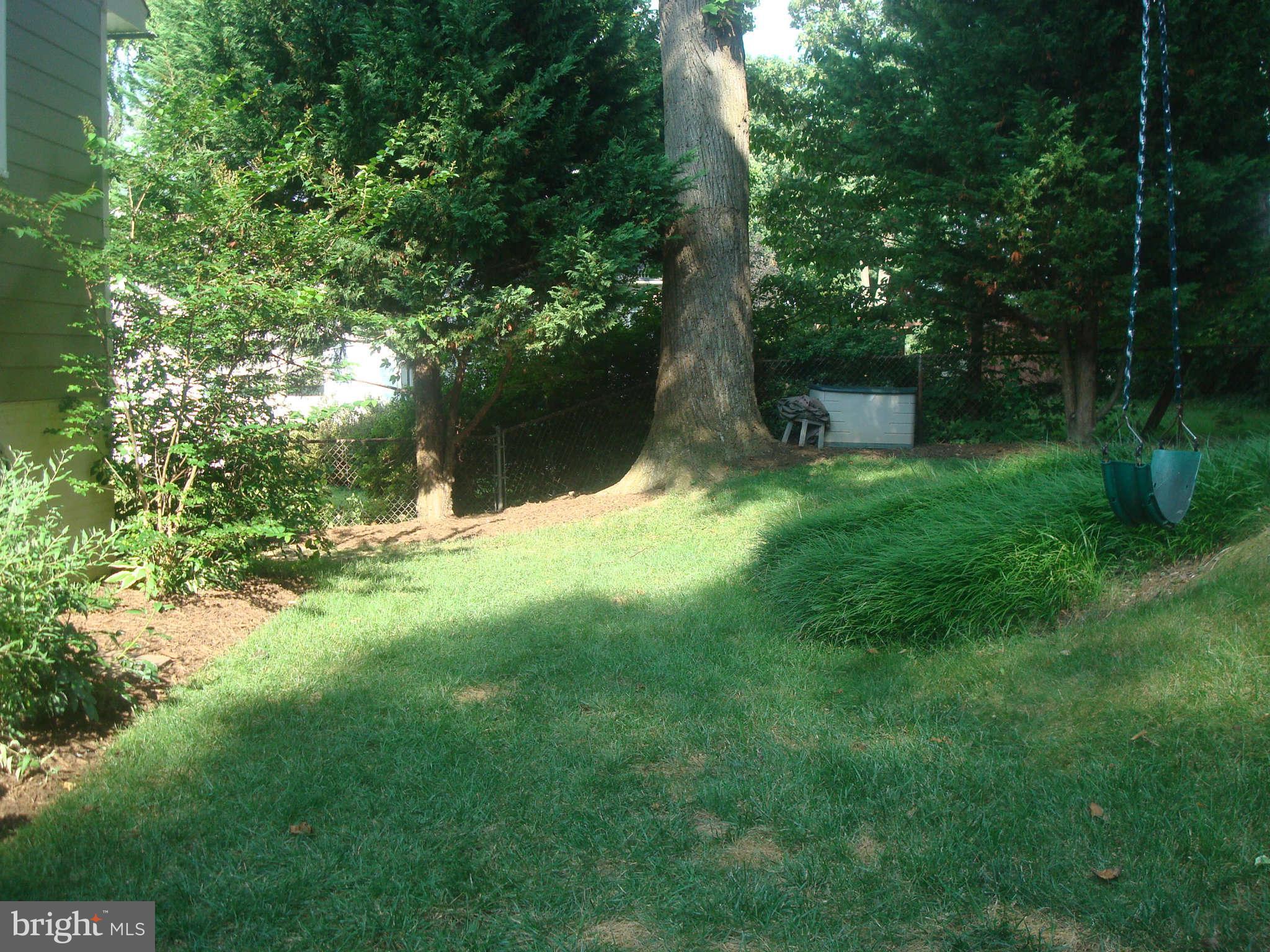 7413 Farnum Street Springfield, VA 22151 - Photo 17 of 17 a view of backyard with green space