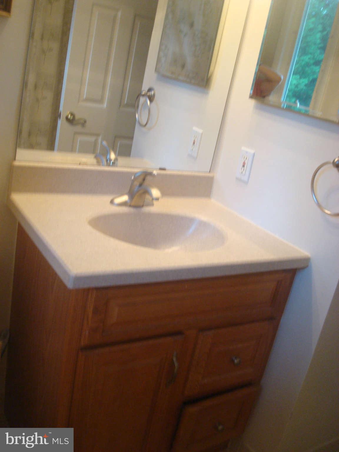 7413 Farnum Street Springfield, VA 22151 - Photo 8 of 17 a close view of sink and mirror